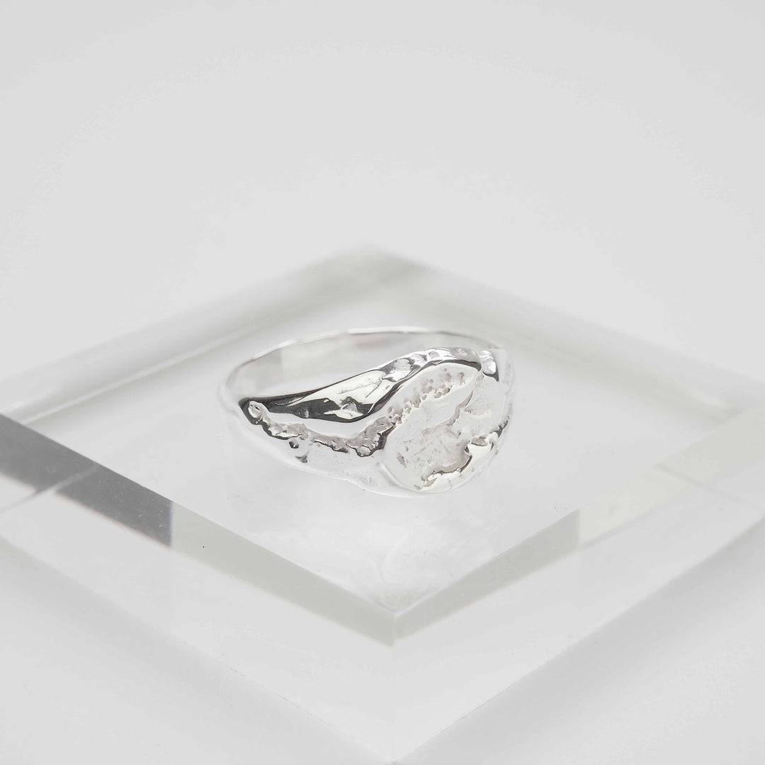 Silver Ring -Nature 005- シルバー リング-リング-yuzen-official
