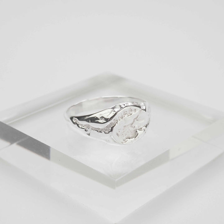 Silver Ring -Nature 005- シルバー リング-リング-yuzen-official