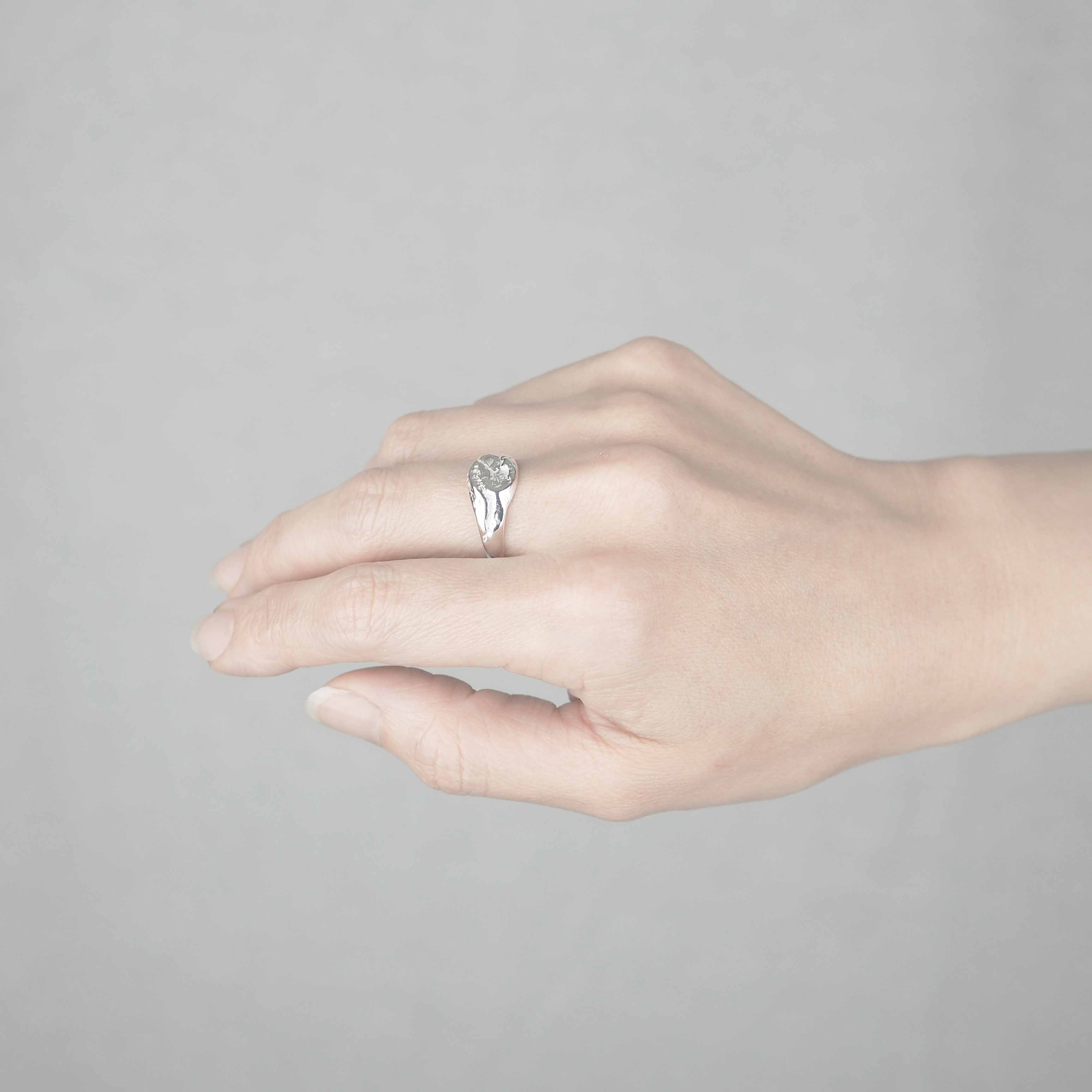 Silver Ring -Nature 005- シルバー リング – yuzen-official